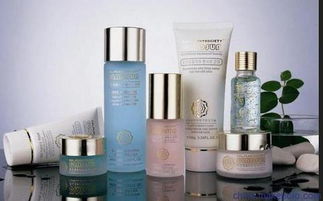 上海伯斯卡国际货物运输代理公司 一站式进口化妆品、食品与家具清关服务